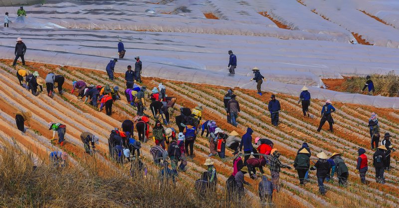 클릭 시 팝업