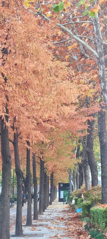 클릭 시 팝업