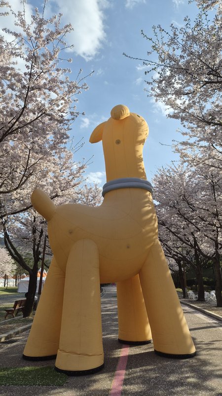 클릭 시 팝업