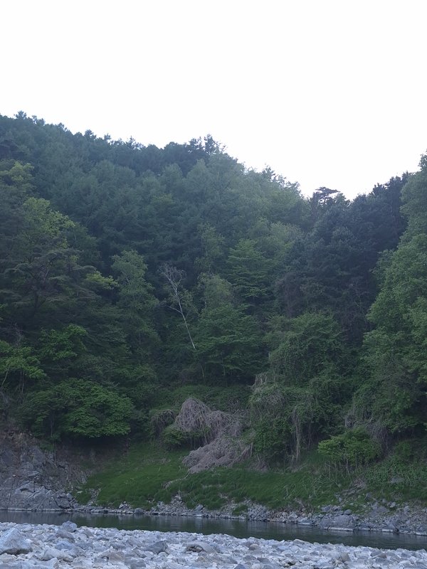 클릭 시 팝업