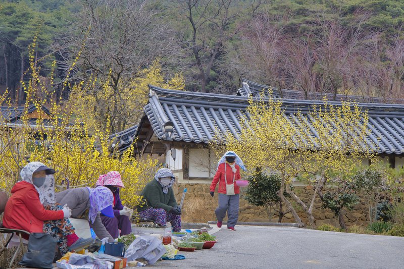 클릭 시 팝업